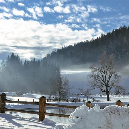 Appartamento Maso Alpino Con Vista Sulle Dolomiti Mendola Esterno foto